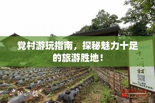 黨村游玩指南，探秘魅力十足的旅游勝地！