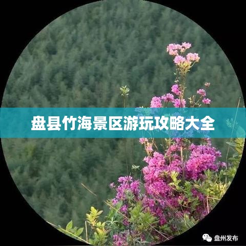 盤縣竹海景區(qū)游玩攻略大全