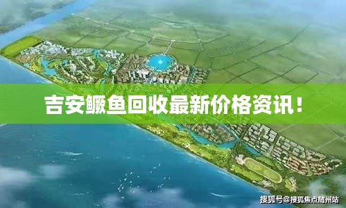 吉安鱖魚回收最新價(jià)格資訊！