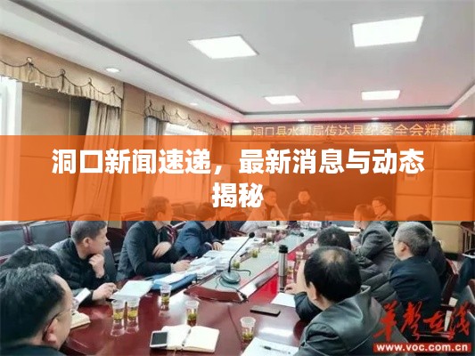 洞口新聞速遞，最新消息與動(dòng)態(tài)揭秘