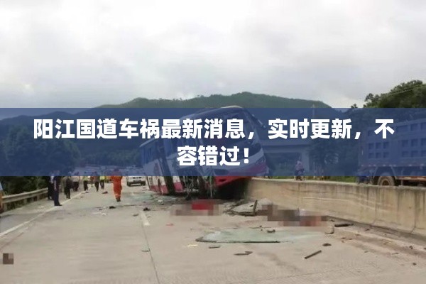 陽江國道車禍最新消息，實(shí)時更新，不容錯過！