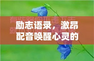 勵(lì)志語(yǔ)錄，激昂配音喚醒心靈的力量，激發(fā)無(wú)限潛能！