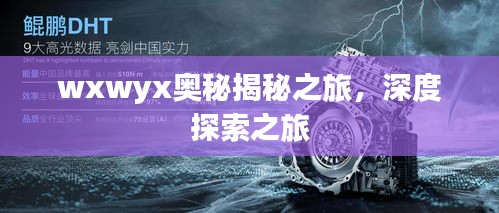 wxwyx奧秘揭秘之旅，深度探索之旅