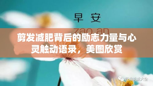 剪發(fā)減肥背后的勵(lì)志力量與心靈觸動(dòng)語錄，美圖欣賞