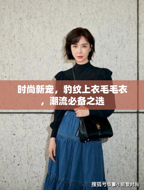 時尚新寵，豹紋上衣毛毛衣，潮流必備之選