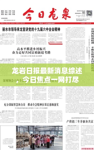 龍巖日報最新消息綜述，今日焦點一網打盡
