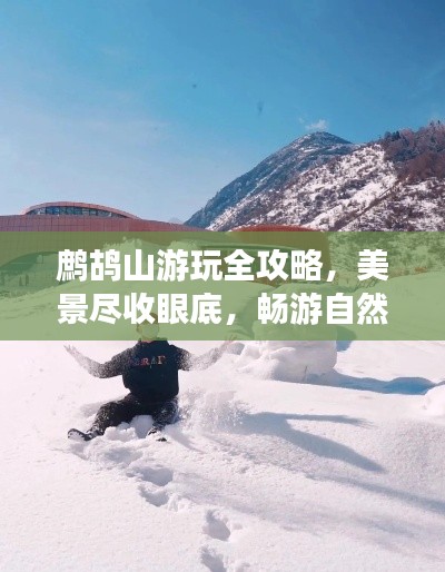 鷓鴣山游玩全攻略，美景盡收眼底，暢游自然秘境！