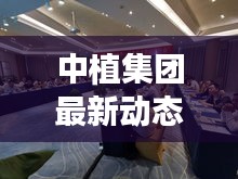 中植集團(tuán)最新動(dòng)態(tài)新聞速遞
