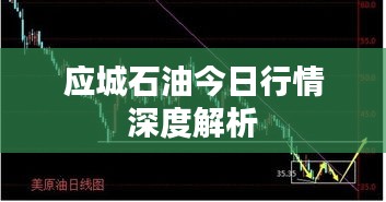 應(yīng)城石油今日行情深度解析