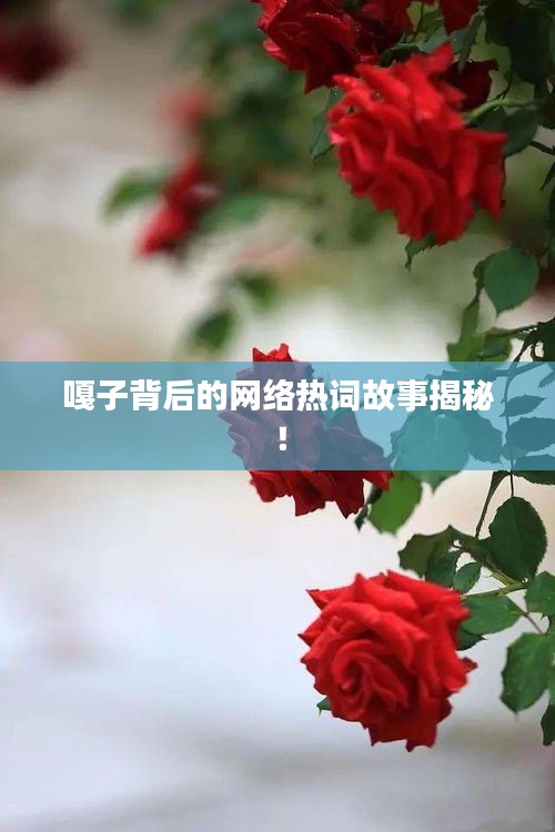 嘎子背后的網(wǎng)絡(luò)熱詞故事揭秘！