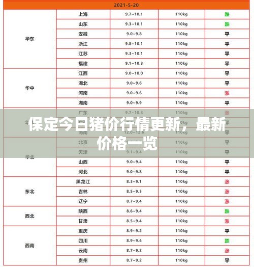 保定今日豬價行情更新，最新價格一覽