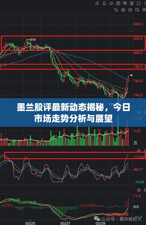 墨蘭股評最新動態(tài)揭秘，今日市場走勢分析與展望