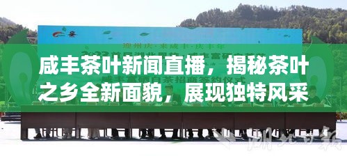 咸豐茶葉新聞直播，揭秘茶葉之鄉(xiāng)全新面貌，展現(xiàn)獨(dú)特風(fēng)采