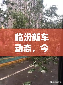 臨汾新車動(dòng)態(tài)，今日最新消息一網(wǎng)打盡！