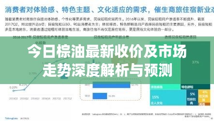 今日棕油最新收價及市場走勢深度解析與預測