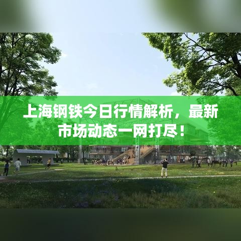 上海鋼鐵今日行情解析，最新市場(chǎng)動(dòng)態(tài)一網(wǎng)打盡！