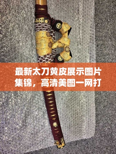 最新太刀黃皮展示圖片集錦，高清美圖一網(wǎng)打盡！