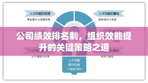 公司績效排名制，組織效能提升的關鍵策略之道