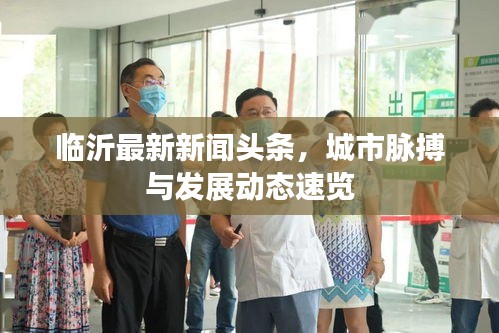 臨沂最新新聞?lì)^條，城市脈搏與發(fā)展動(dòng)態(tài)速覽
