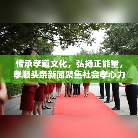 傳承孝道文化，弘揚正能量，孝順頭條新聞聚焦社會孝心力量