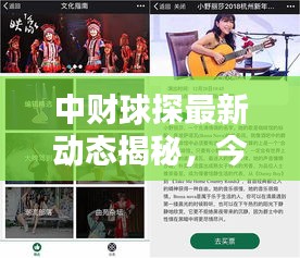 中財(cái)球探最新動(dòng)態(tài)揭秘，今日消息一網(wǎng)打盡！