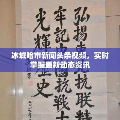 冰城哈市新聞?lì)^條視頻，實(shí)時(shí)掌握最新動(dòng)態(tài)資訊