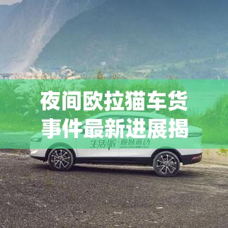 夜間歐拉貓車貨事件最新進(jìn)展揭秘