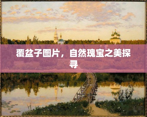 覆盆子圖片，自然瑰寶之美探尋