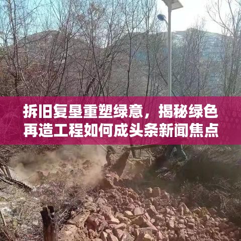 拆舊復(fù)墾重塑綠意，揭秘綠色再造工程如何成頭條新聞焦點