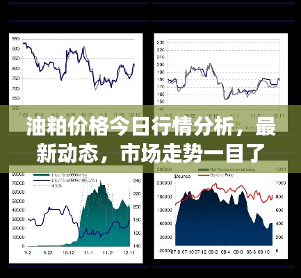 油粕價格今日行情分析，最新動態(tài)，市場走勢一目了然！