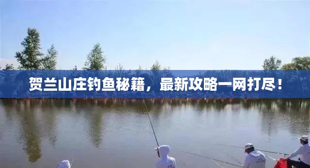 賀蘭山莊釣魚秘籍，最新攻略一網(wǎng)打盡！