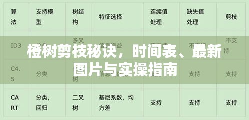 橙樹剪枝秘訣，時(shí)間表、最新圖片與實(shí)操指南