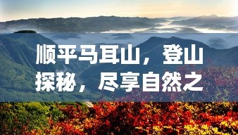 順平馬耳山，登山探秘，盡享自然之美！旅游攻略大揭秘！