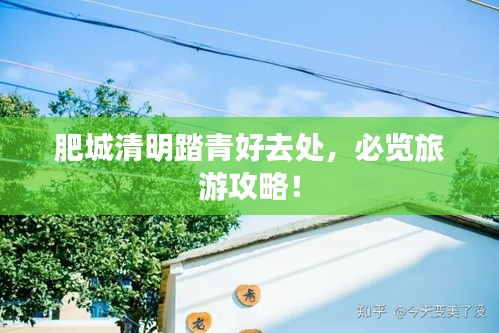 肥城清明踏青好去處，必覽旅游攻略！