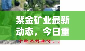 紫金礦業(yè)最新動(dòng)態(tài)，今日重磅消息一網(wǎng)打盡！
