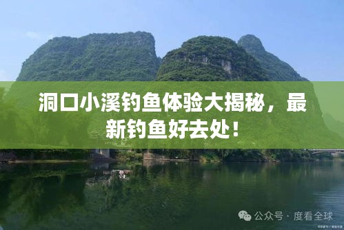 洞口小溪釣魚體驗大揭秘，最新釣魚好去處！