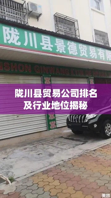 隴川縣貿(mào)易公司排名及行業(yè)地位揭秘