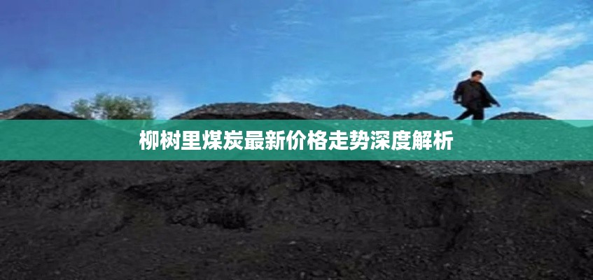 柳樹里煤炭最新價格走勢深度解析