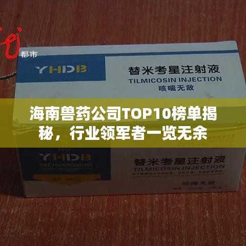 海南獸藥公司TOP10榜單揭秘，行業(yè)領(lǐng)軍者一覽無余