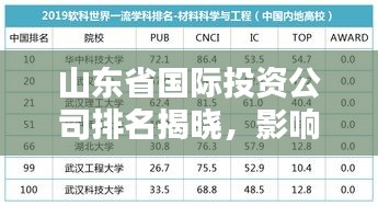 山東省國際投資公司排名揭曉，影響力深度解析