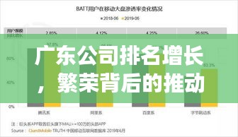 廣東公司排名增長(zhǎng)，繁榮背后的推動(dòng)力量揭秘！