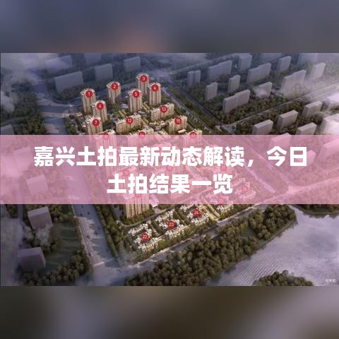 嘉興土拍最新動態(tài)解讀，今日土拍結(jié)果一覽