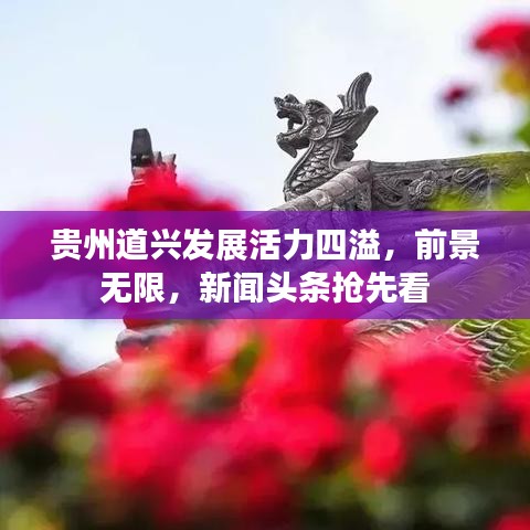 貴州道興發(fā)展活力四溢，前景無限，新聞頭條搶先看