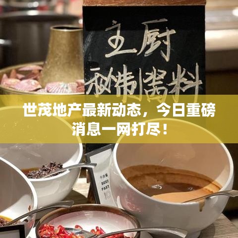 世茂地產(chǎn)最新動(dòng)態(tài)，今日重磅消息一網(wǎng)打盡！