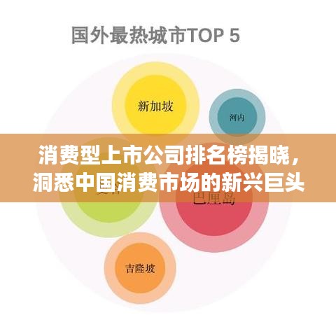 消費(fèi)型上市公司排名榜揭曉，洞悉中國(guó)消費(fèi)市場(chǎng)的新興巨頭