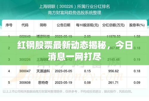 紅鋼股票最新動(dòng)態(tài)揭秘，今日消息一網(wǎng)打盡