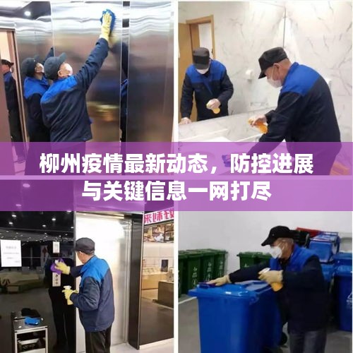 柳州疫情最新動態(tài)，防控進展與關(guān)鍵信息一網(wǎng)打盡