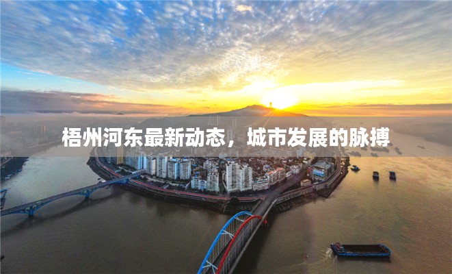 梧州河?xùn)|最新動(dòng)態(tài)，城市發(fā)展的脈搏