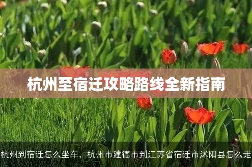 杭州至宿遷攻略路線全新指南