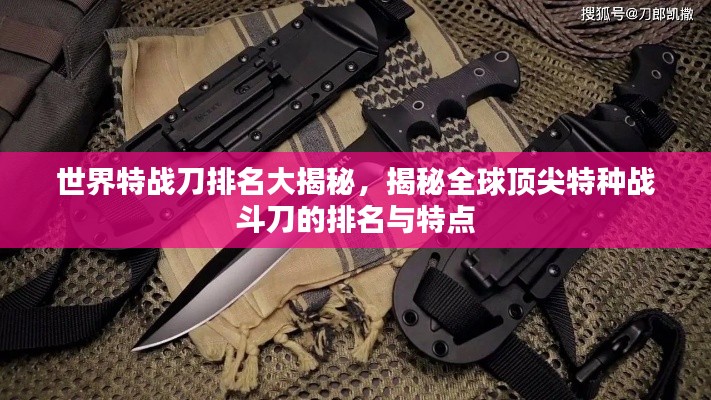 世界特戰(zhàn)刀排名大揭秘，揭秘全球頂尖特種戰(zhàn)斗刀的排名與特點(diǎn)